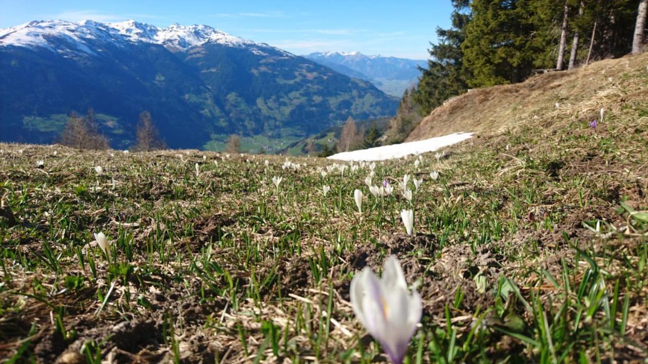 Hotel Haus Binder Ried im Zillertal Zewnętrze zdjęcie